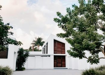 pexels-julia-kuzenkov-442028-1974596